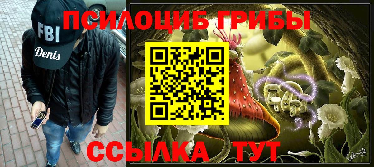 Ишимбай  Галлюциногенные грибы Psilocybe  Вход с VPN 